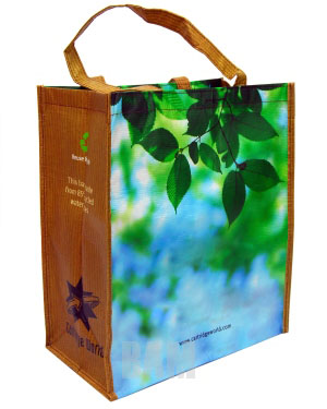 eco shopping bag